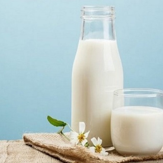 Sữa Tươi